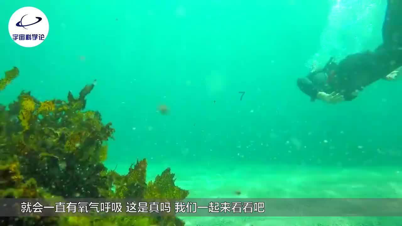 可爱小方块